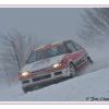 DSC_8242 Kopie